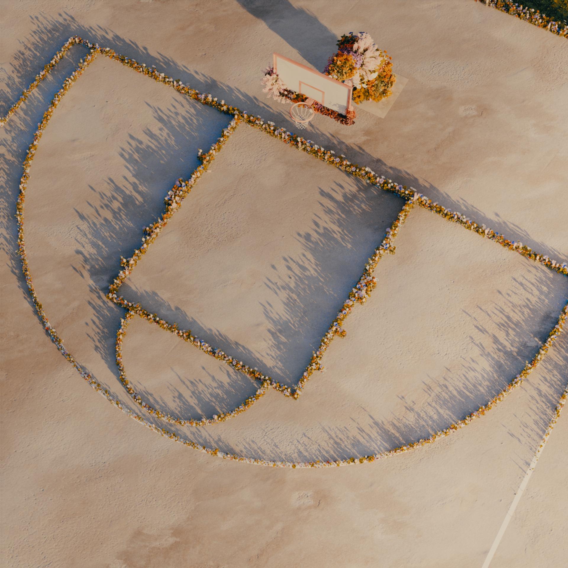 Aerial view of court lines lined with flowers