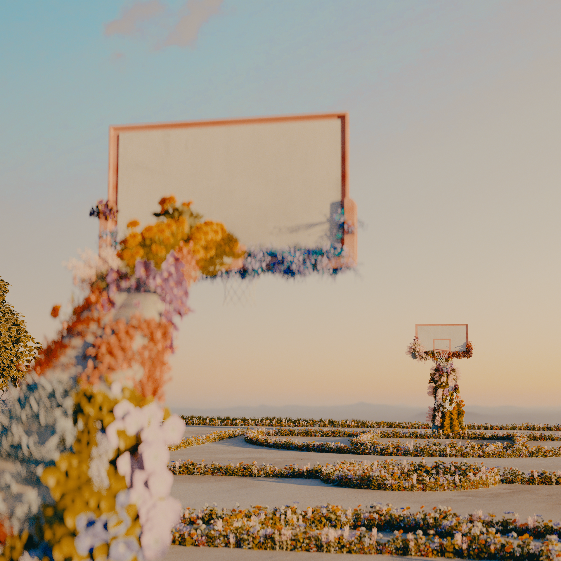 Flower-covered hoops across the court