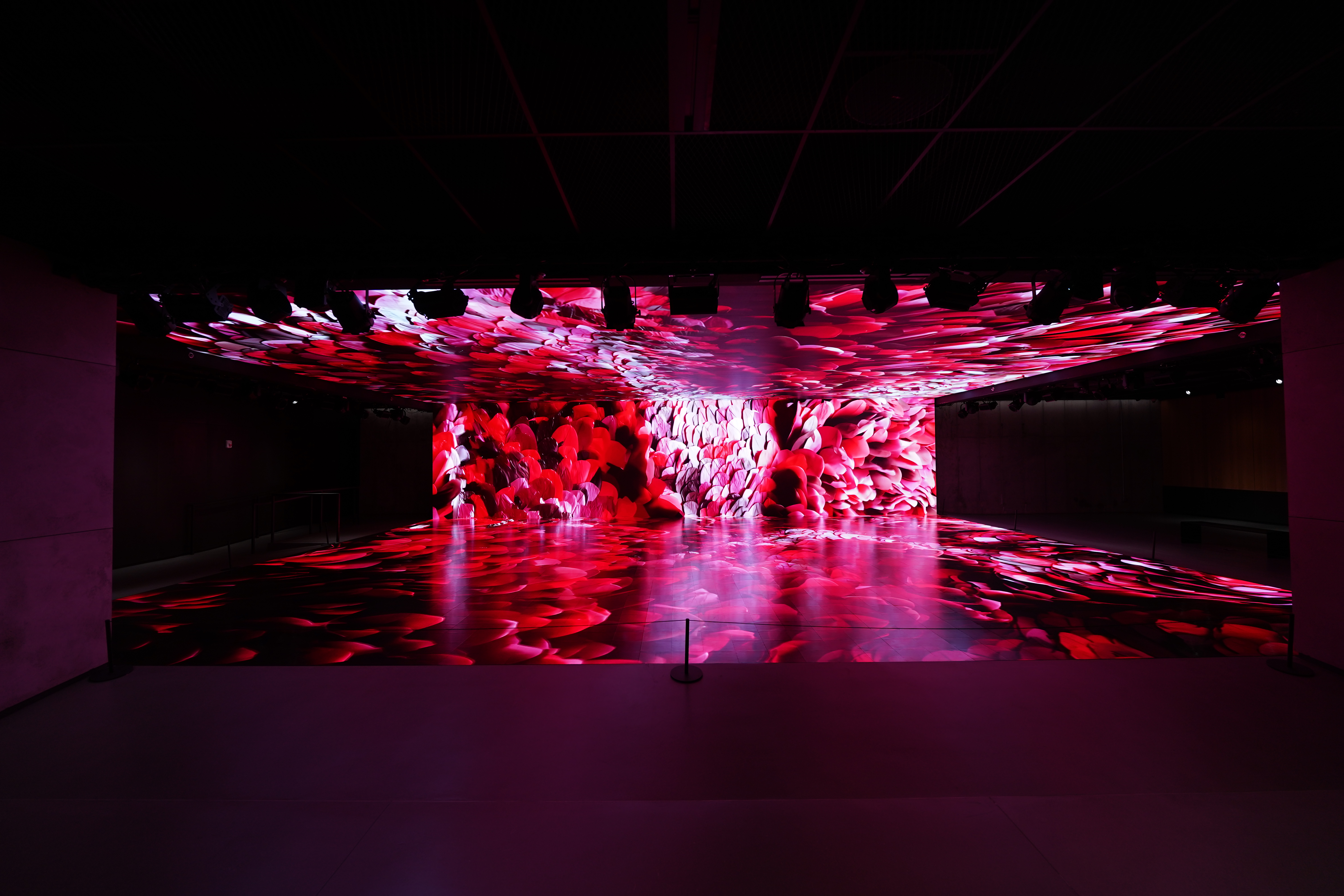 Wide view of the red floral projection room