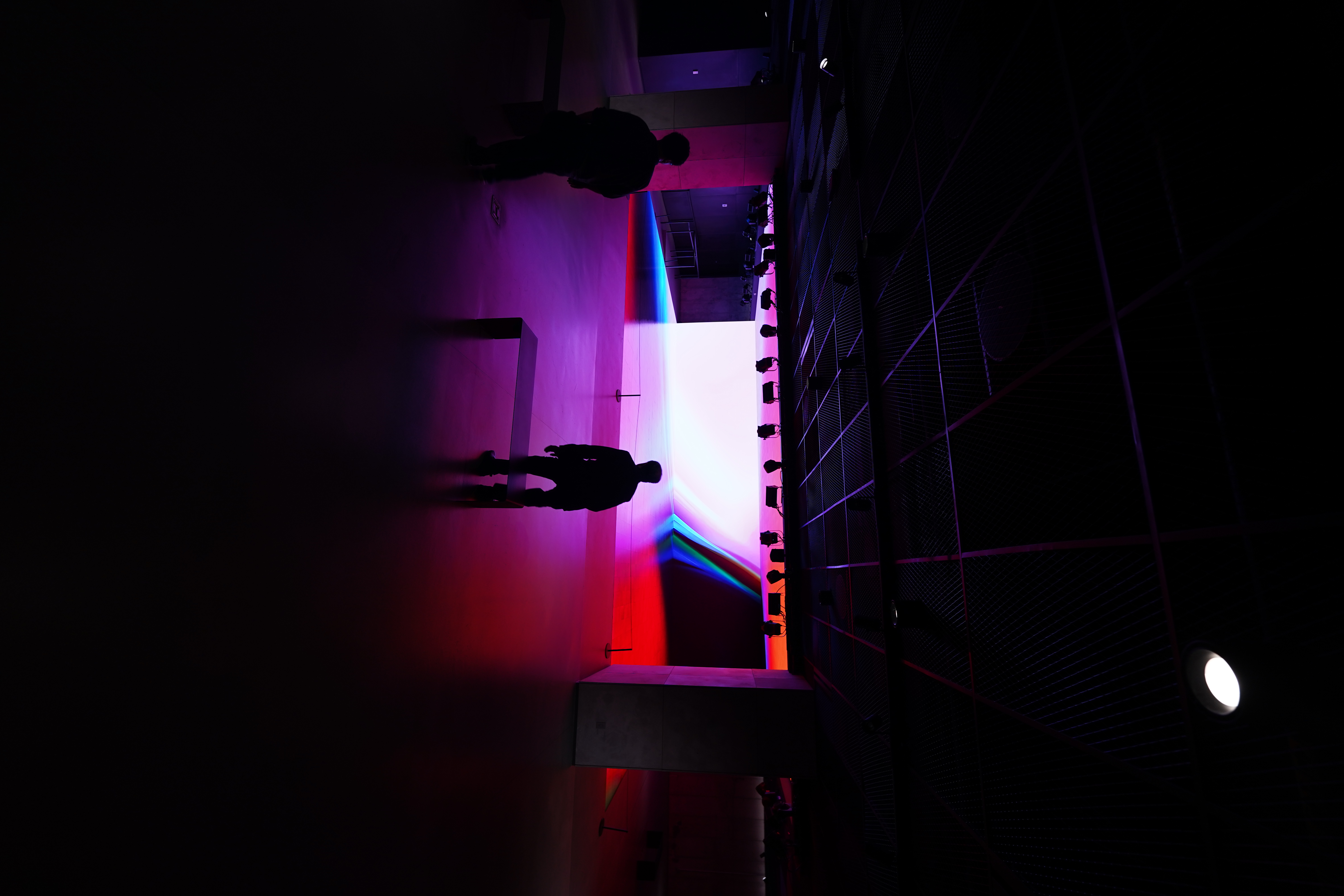 Visitor silhouetted against the light