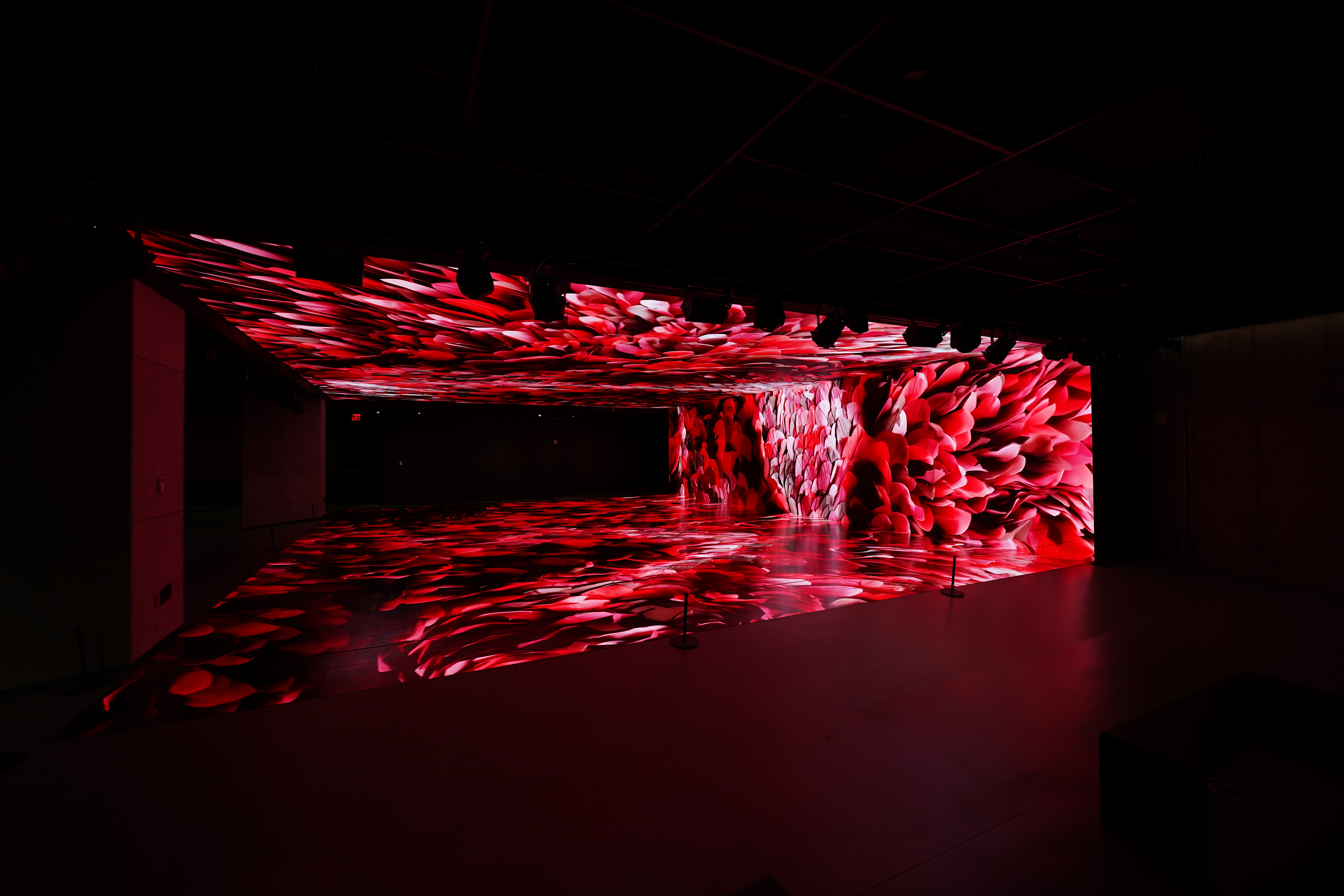 Red floral room from the entrance