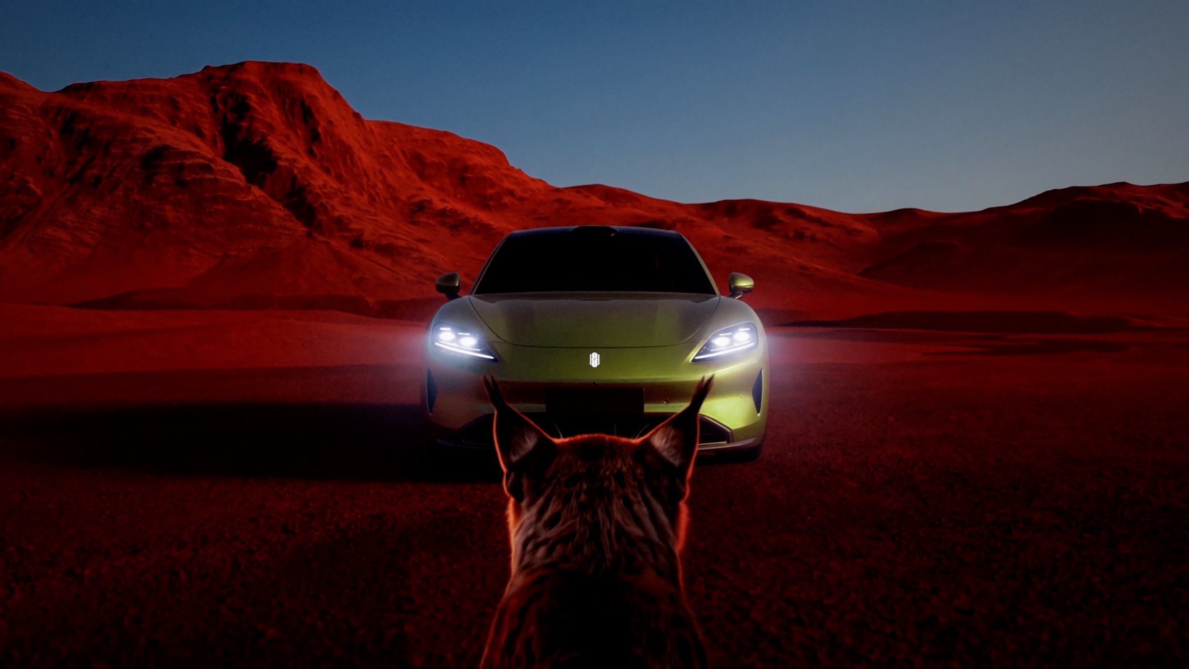 Leopard facing the sedan in red desert